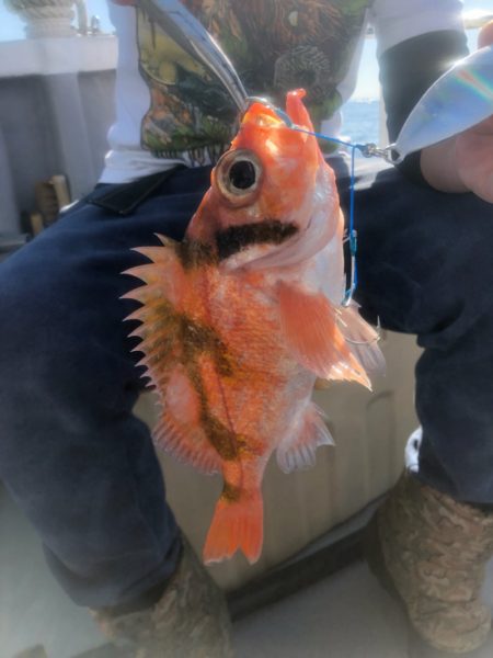 ＴＡＲＯＭＡＲＵ 釣果