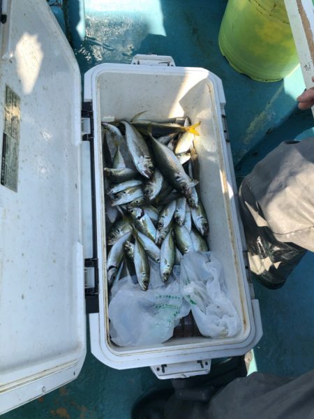 丸万釣船 釣果