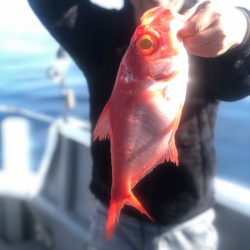 ＴＡＲＯＭＡＲＵ 釣果