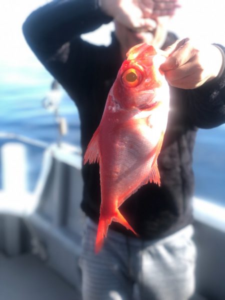 ＴＡＲＯＭＡＲＵ 釣果