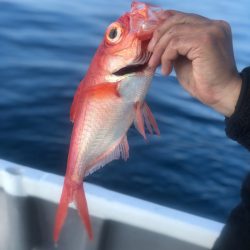 ＴＡＲＯＭＡＲＵ 釣果