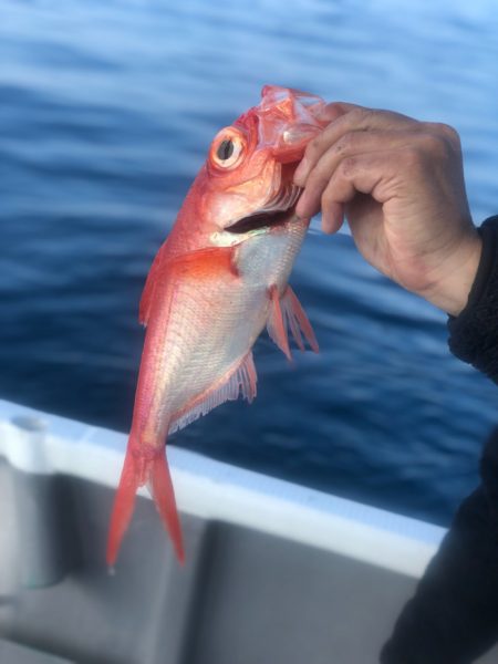 ＴＡＲＯＭＡＲＵ 釣果