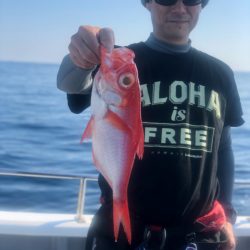 ＴＡＲＯＭＡＲＵ 釣果