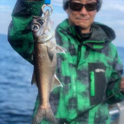 ＴＡＲＯＭＡＲＵ 釣果