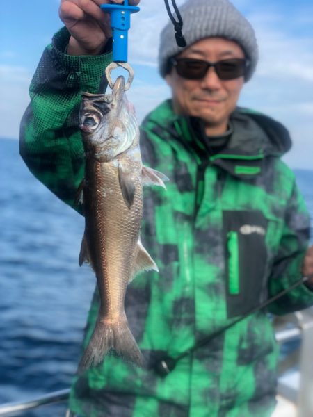 ＴＡＲＯＭＡＲＵ 釣果