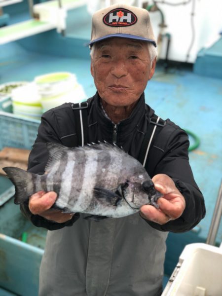 丸万釣船 釣果