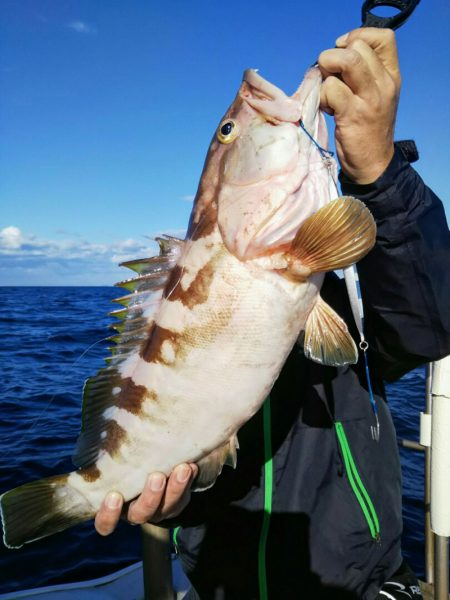 光生丸 釣果