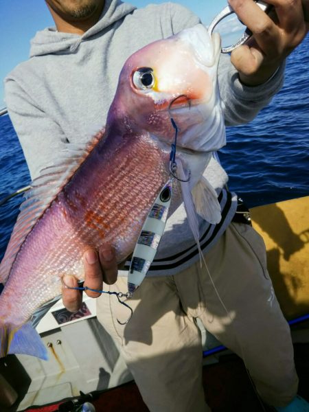 光生丸 釣果