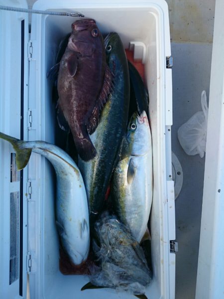 エンペラー 釣果