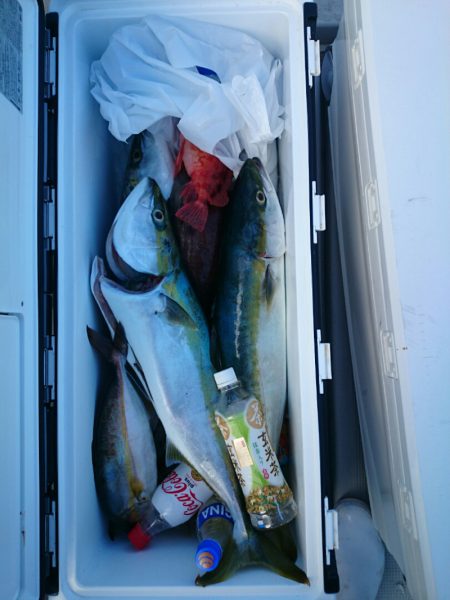 エンペラー 釣果