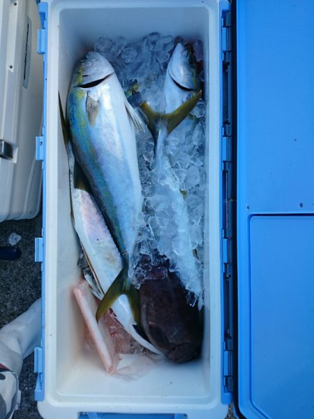 エンペラー 釣果