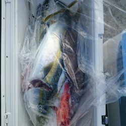 エンペラー 釣果