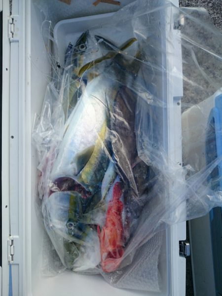 エンペラー 釣果