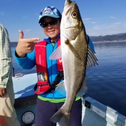 アマテラス 釣果