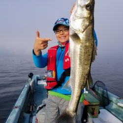 アマテラス 釣果