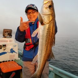 アマテラス 釣果