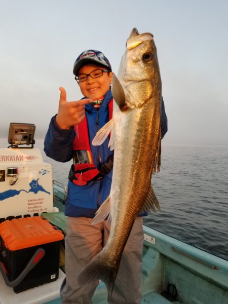 アマテラス 釣果