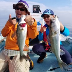 アマテラス 釣果