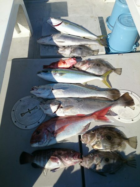 エンペラー 釣果