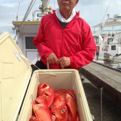 晃山丸 釣果