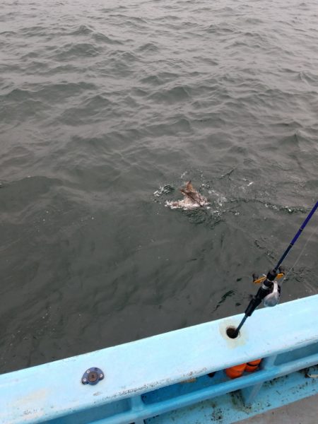 みやけ丸 釣果