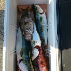 エンペラー 釣果