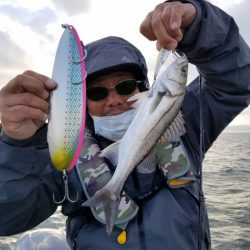 アマテラス 釣果