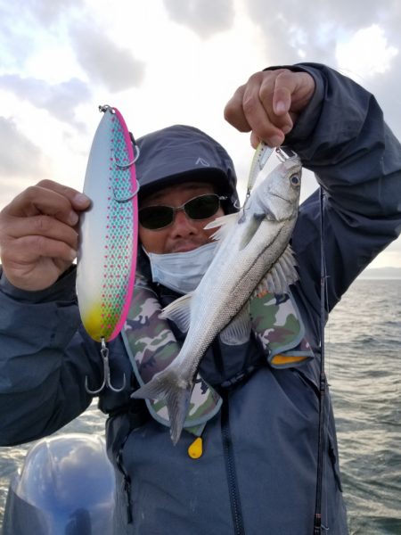 アマテラス 釣果