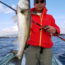 アマテラス 釣果