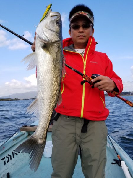 アマテラス 釣果