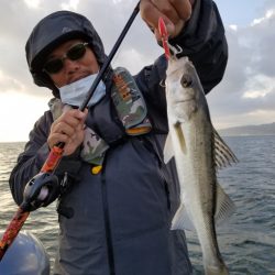 アマテラス 釣果