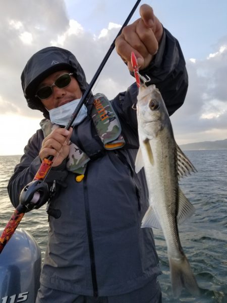 アマテラス 釣果