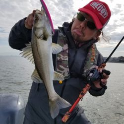 アマテラス 釣果