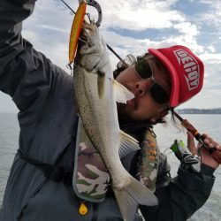 アマテラス 釣果