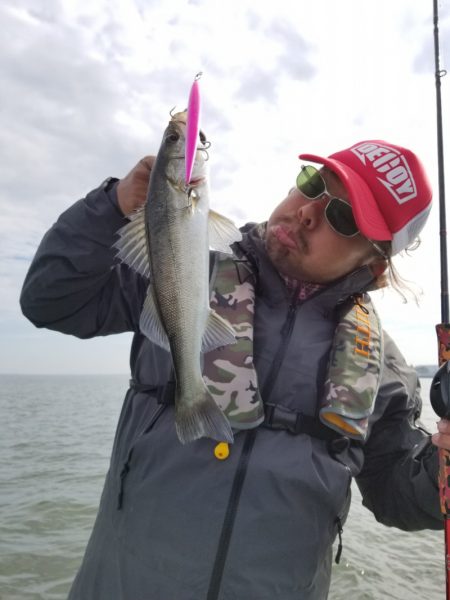 アマテラス 釣果