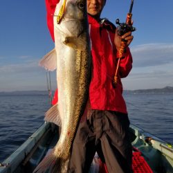 アマテラス 釣果