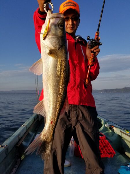 アマテラス 釣果