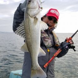 アマテラス 釣果