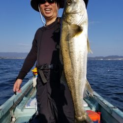 アマテラス 釣果