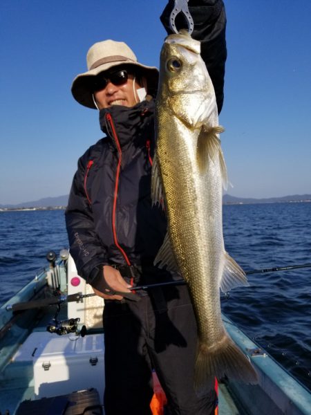 アマテラス 釣果