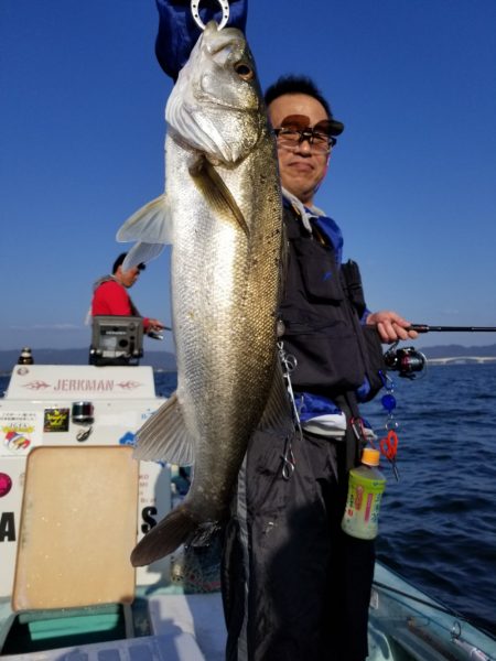 アマテラス 釣果