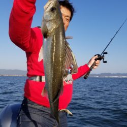 アマテラス 釣果