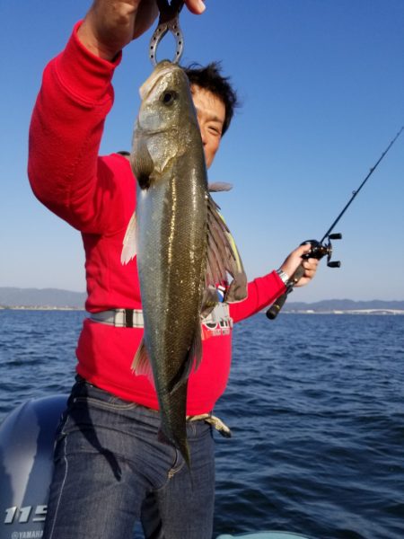 アマテラス 釣果