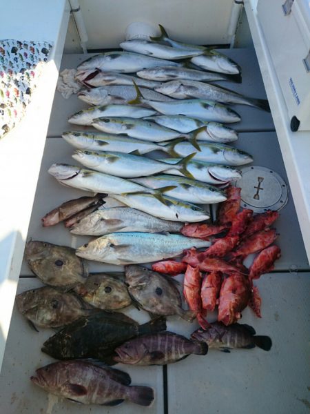 エンペラー 釣果