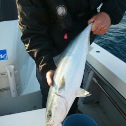 エンペラー 釣果