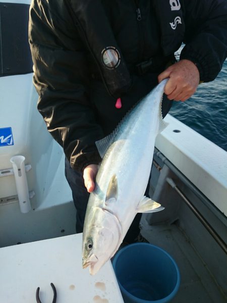 エンペラー 釣果