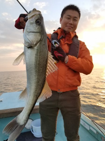 アマテラス 釣果