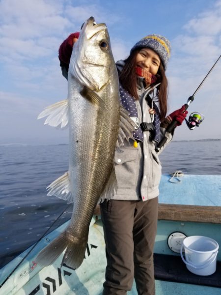 アマテラス 釣果