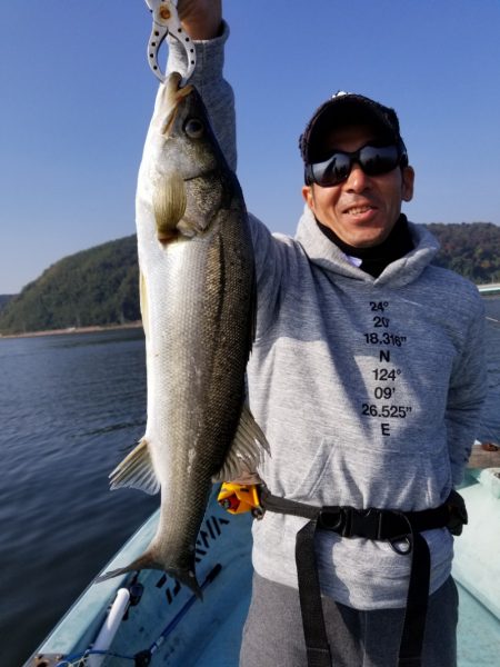 アマテラス 釣果