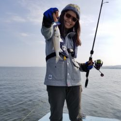 アマテラス 釣果